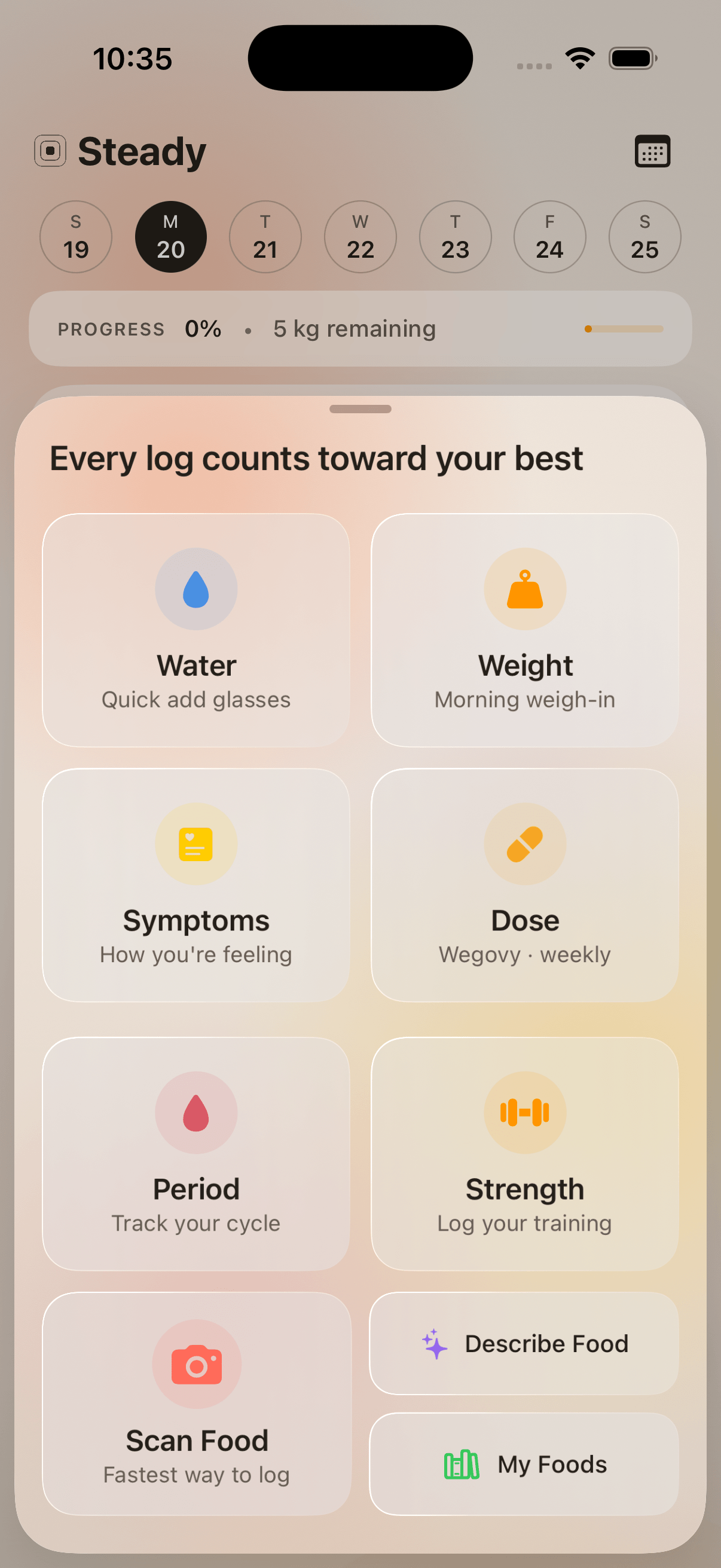 Steady logging sheet, a single sheet with every log: meal, water, weight, dose, injection site, symptom, and period.